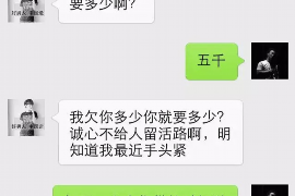 乐平为什么选择专业追讨公司来处理您的债务纠纷？